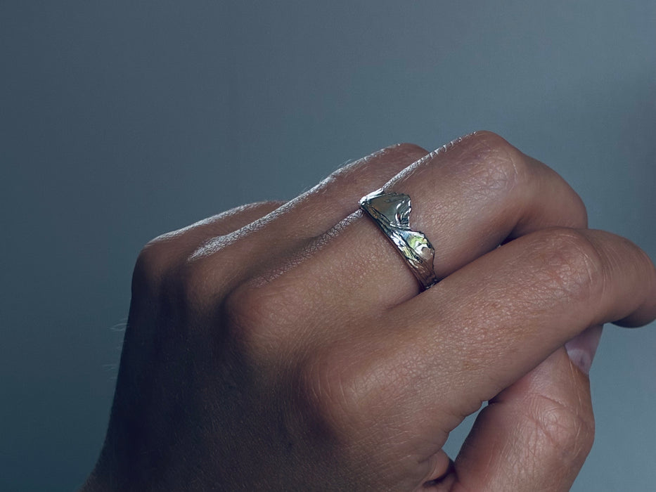 Cordillera- Ring - Silver